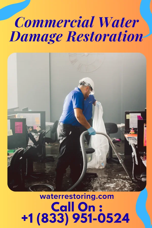 Commercial Water Damage Restoration in Nambe, NM